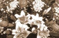 Blumenschmuck
