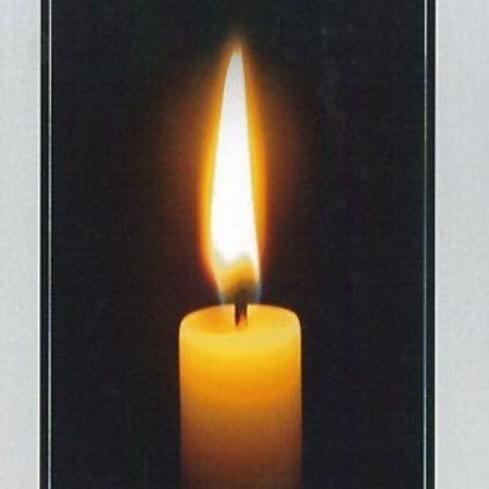 Bild 202D