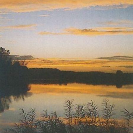 Bild 484D