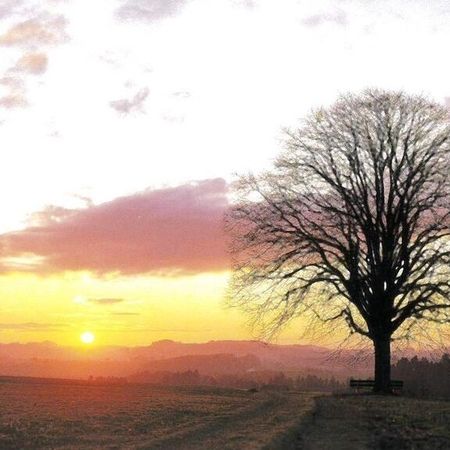 Bild 5073D
