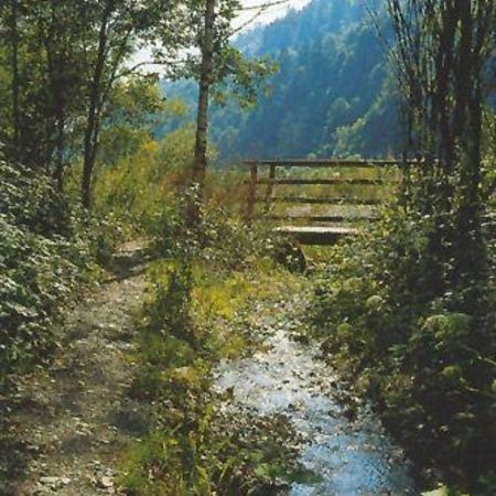 Bild 5092D