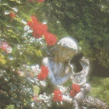 Bild 7072D