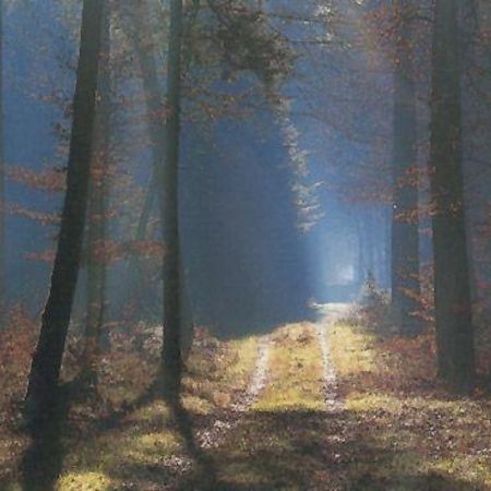 Bild 9803D